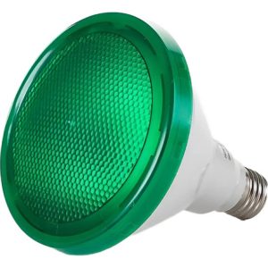 Lámpara Led Par38 Verde 15w E27 Exterior Jardín - Imagen 1